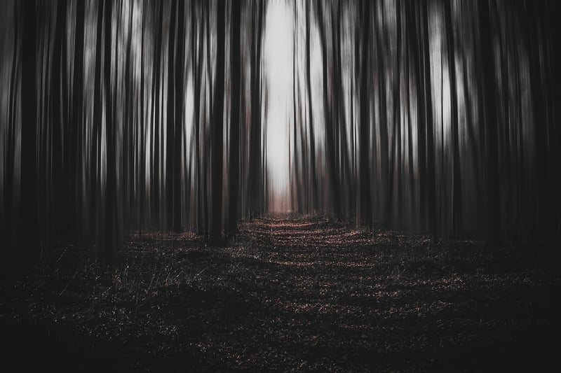 Magical Sceneries